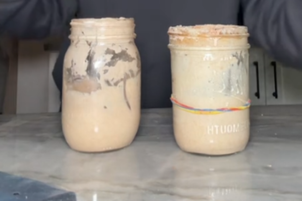 How do I know if my sourdough starter is ok