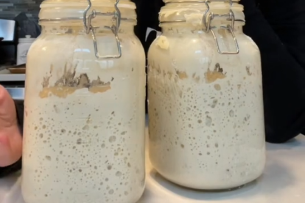 Is sourdough starter better in glass or plastic